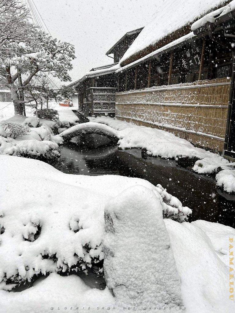 Nagoya - Excursion a Shirakawa via Takayama - 163.jpg